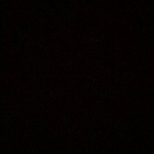 Meet your Posher, Carlee